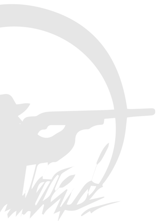 left-player